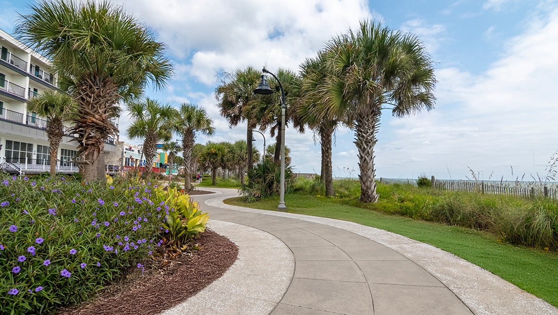 Boardwalk path